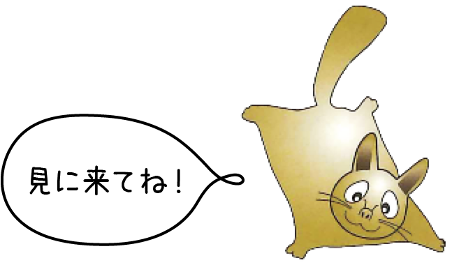 遊びに来てね！